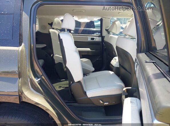 5NMP5DGLXRH044348 2024 HYUNDAI SANTA FE Green Вид наклейки з VIN-кодом