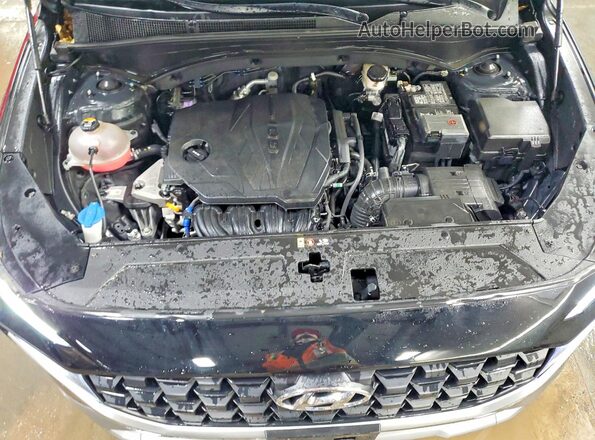 5NMS1DAJ7PH542503 2023 HYUNDAI SANTA Black Widok wnętrza z tyłu