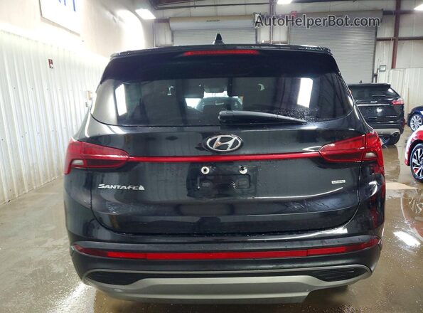 5NMS1DAJ7PH542503 2023 HYUNDAI SANTA Black Widok z tyłu
