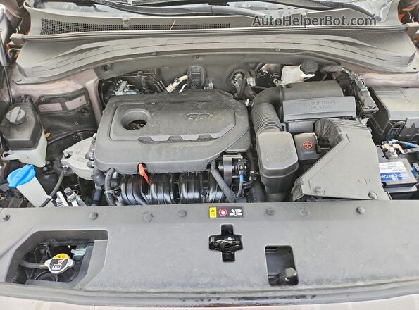 5NMS23AD2LH147916 2020 HYUNDAI SANTA Brown Vista del compartimento del motor