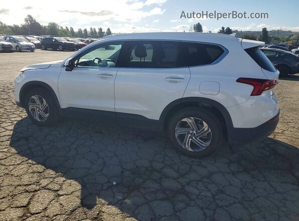 5NMS24AJ8PH628660 2023 HYUNDAI SANTA White 