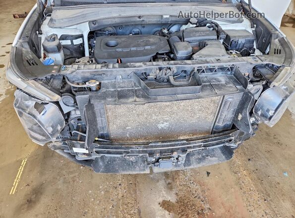 5NMS2CAD6KH028877 2019 HYUNDAI SANTA White Vista del compartimento del motor