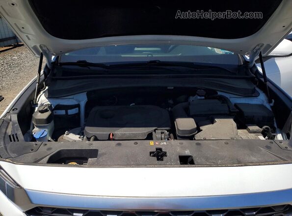 5NMS2CADXLH239503 2020 HYUNDAI SANTA White 