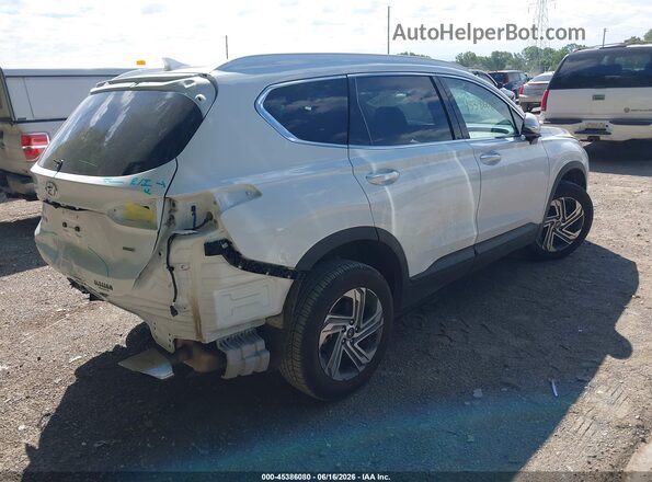 5NMS2DAJ9PH598164 2023 HYUNDAI SANTA FE White Rear right