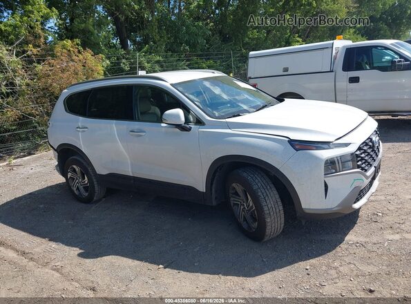 5NMS2DAJ9PH598164 2023 HYUNDAI SANTA FE White Rear interior view
