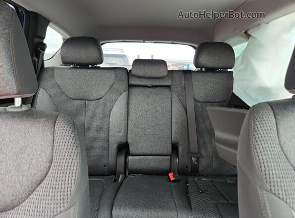 5NMS33AD0KH059166 2019 HYUNDAI SANTA Blue Vista de los asientos traseros