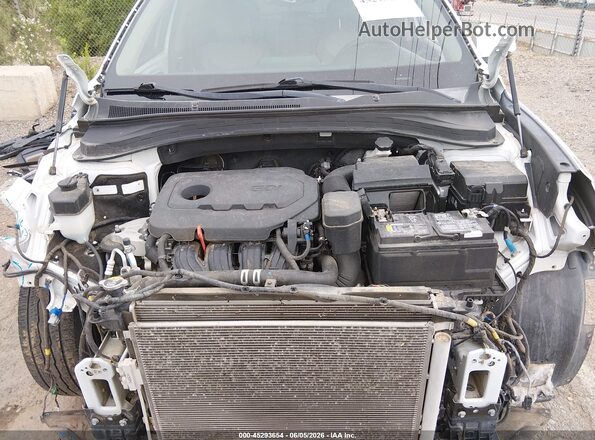 5NMS33AD3LH147209 2020 HYUNDAI SANTA FE White Vista trasera