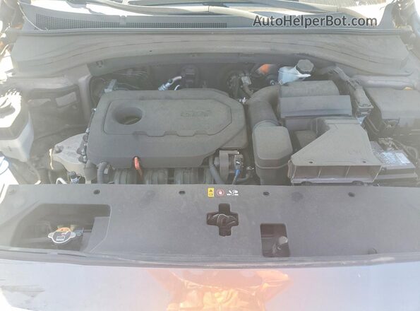 5NMS33ADXLH169983 2020 HYUNDAI SANTA Brown 
