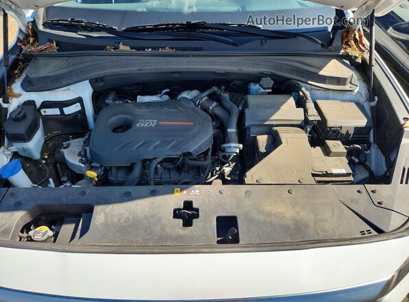 5NMS3CAAXLH285481 2020 HYUNDAI SANTA Белый Вид задней части салона