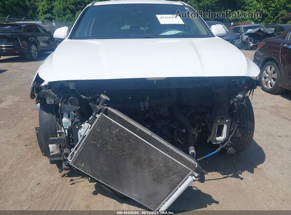 5NMS3CAD7KH074537 2019 HYUNDAI SANTA FE White Widok wnętrza z tyłu
