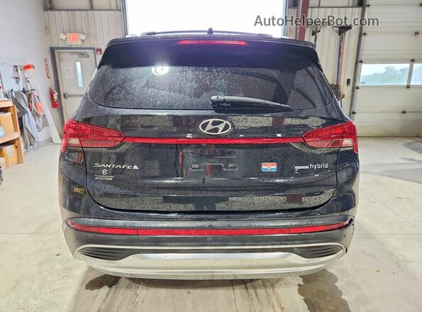 5NMS3DA13PH003127 2023 HYUNDAI SANTA Черный Вид сзади