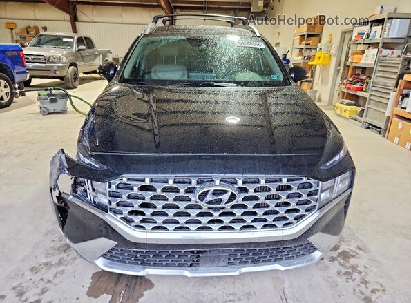 5NMS3DA13PH003127 2023 HYUNDAI SANTA Черный Вид спереди