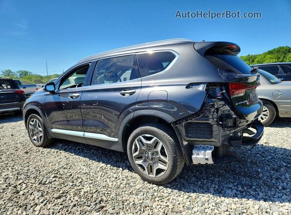 5NMS3DA16PH007995 2023 HYUNDAI SANTA Black Tył lewy