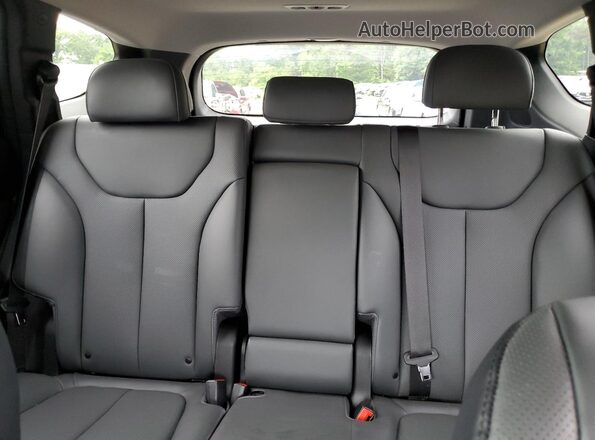 5NMS3DAJ2PH525859 2023 HYUNDAI SANTA Blue Вид задніх сидінь