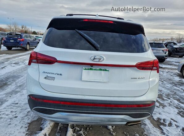 5NMS4DAL6MH365317 2021 HYUNDAI SANTA Белый Вид сзади