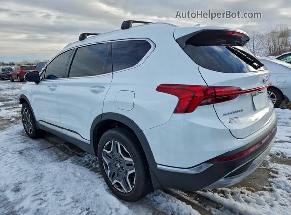 5NMS4DAL6MH365317 2021 HYUNDAI SANTA Белый Задняя левая четверть