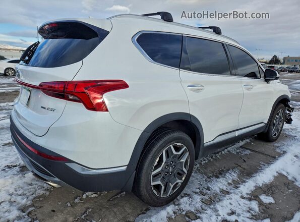 5NMS4DAL6MH365317 2021 HYUNDAI SANTA Белый Задняя правая четверть