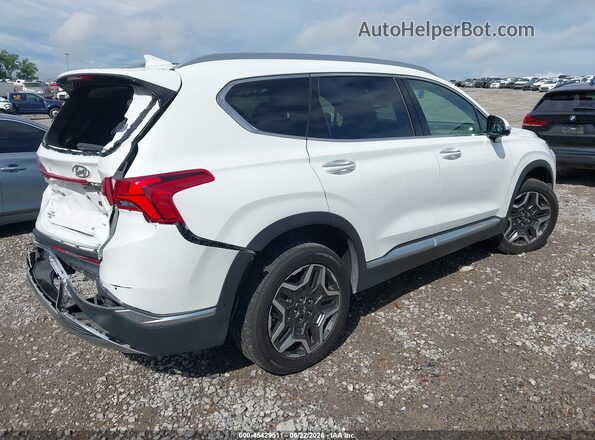 5NMS4DAL6NH458369 2022 HYUNDAI SANTA FE White უკანა მარჯვენა