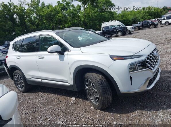 5NMS4DAL6NH458369 2022 HYUNDAI SANTA FE White უკანა სალონის ხედი