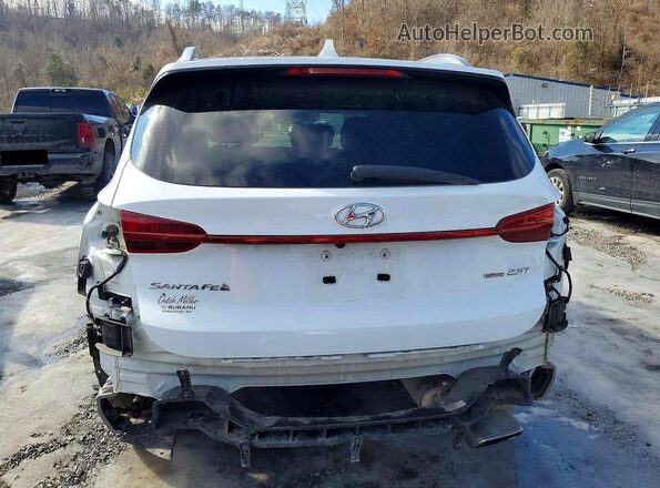 5NMS4DAL9MH346986 2021 HYUNDAI SANTA White Rear view