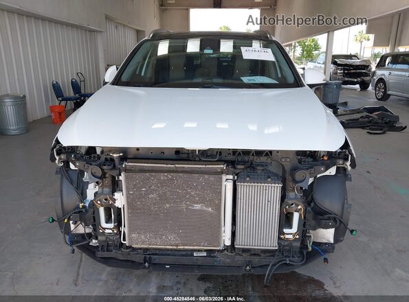 5NMS53AA4KH019950 2019 HYUNDAI SANTA FE White Rear interior view