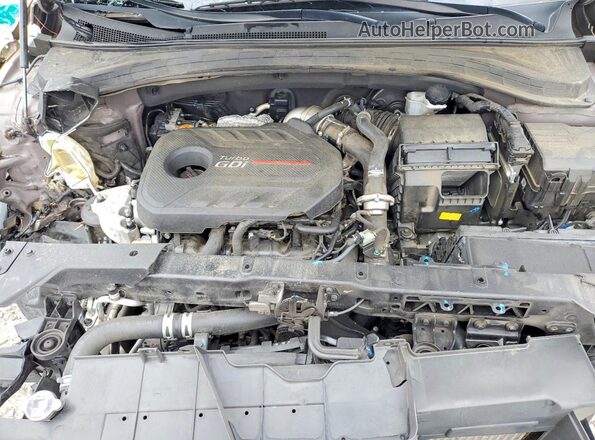5NMS53AA4KH101001 2019 HYUNDAI SANTA Коричневый 