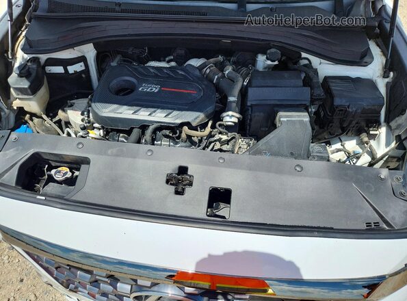 5NMS53AA6LH160102 2020 HYUNDAI SANTA White 