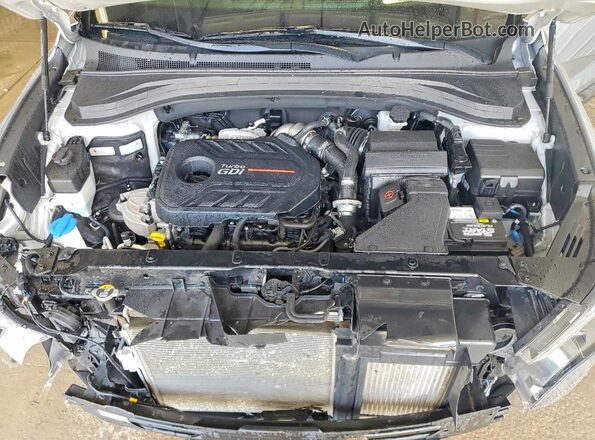 5NMS5CAA3LH287194 2020 HYUNDAI SANTA Silver Vista del compartimento del motor