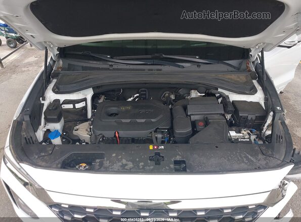 5NMS5CAD6LH146310 2020 HYUNDAI SANTA FE White Rear view