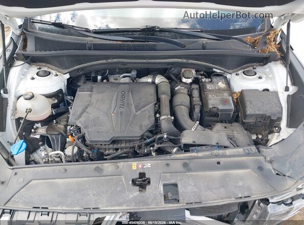 5NMS5DAL7PH629226 2023 HYUNDAI SANTA FE Белый Вид сзади