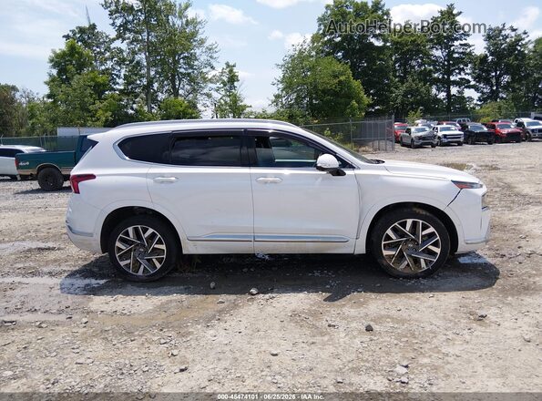 5NMS5DAL9PH510948 2023 HYUNDAI SANTA FE Белый Вид задней части салона