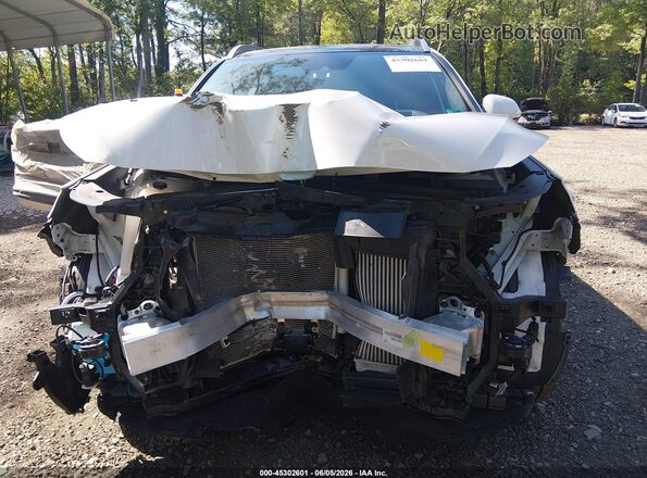5NMS5DALXPH527550 2023 HYUNDAI SANTA FE White Սալոնի հետևի տեսք