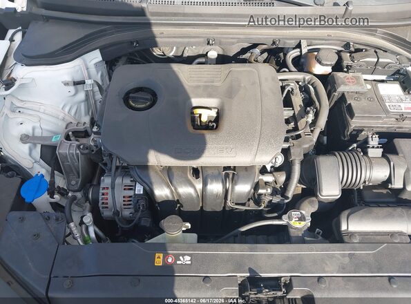 5NPD84LF2LH594356 2020 HYUNDAI ELANTRA White უკანა ხედი