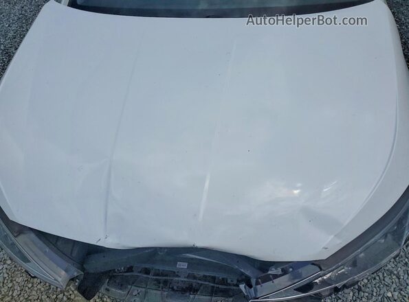 5NPD84LF2LH631535 2020 HYUNDAI ELANTRA White Widok wnętrza z tyłu