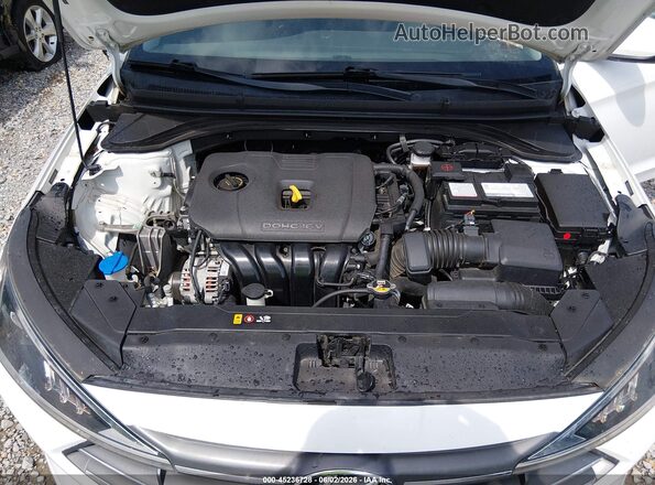 5NPD84LF8LH576492 2020 HYUNDAI ELANTRA White Հետևի տեսք