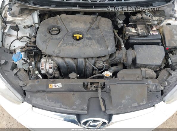 5NPDH4AE2GH714351 2016 HYUNDAI ELANTRA Белый Вид сзади