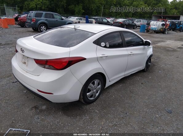 5NPDH4AE4GH690439 2016 HYUNDAI ELANTRA White Tył prawy