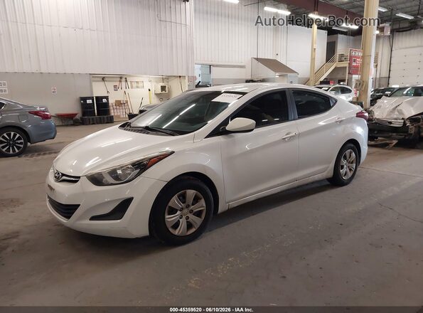 5NPDH4AE4GH695589 2016 HYUNDAI ELANTRA White Przód lewy