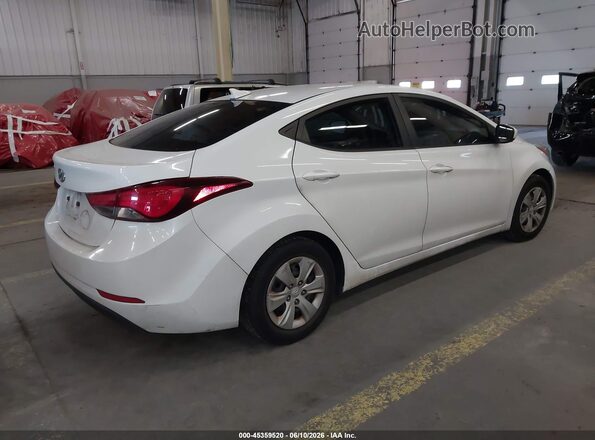 5NPDH4AE4GH695589 2016 HYUNDAI ELANTRA White Tył prawy