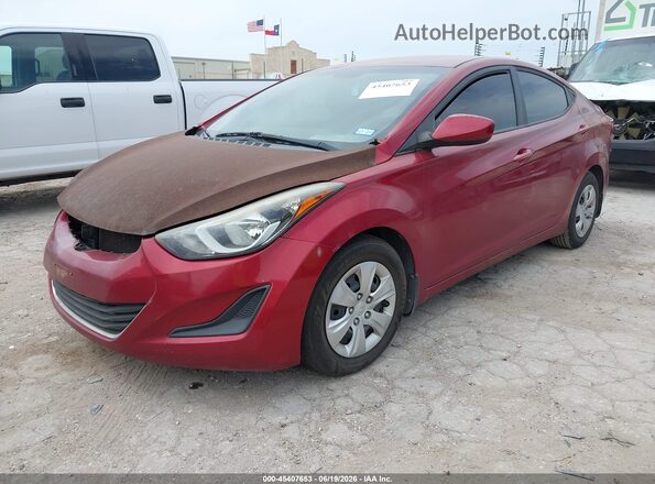 5NPDH4AE6GH756408 2016 HYUNDAI ELANTRA Red Przód lewy