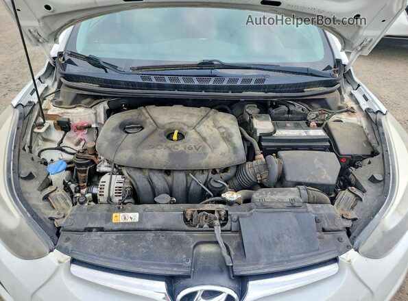 5NPDH4AE7GH665535 2016 HYUNDAI ELANTRA White Սալոնի հետևի տեսք