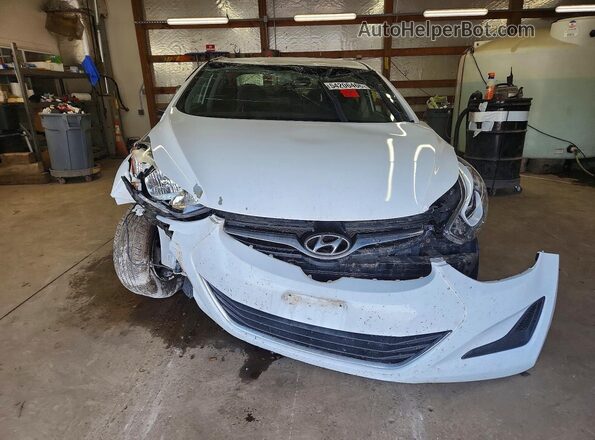 5NPDH4AE8GH747306 2016 HYUNDAI ELANTRA Белый Вид спереди
