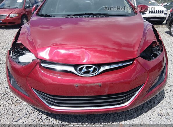5NPDH4AEXGH721600 2016 HYUNDAI ELANTRA Red Widok z przodu