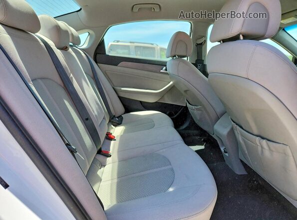 5NPE24AA5GH423815 2016 HYUNDAI SONATA White Widok tylnych siedzeń