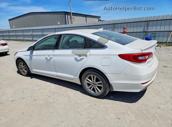 5NPE24AA5GH423815 2016 HYUNDAI SONATA White Tył lewy