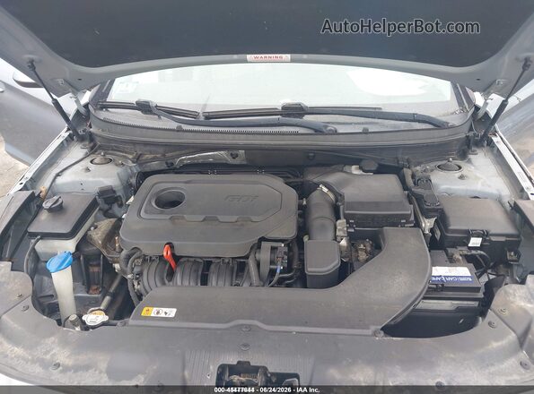 5NPE24AF0GH359601 2016 HYUNDAI SONATA Blue Widok z tyłu
