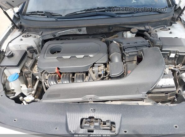 5NPE24AF0GH372221 2016 HYUNDAI SONATA Silver Widok z tyłu