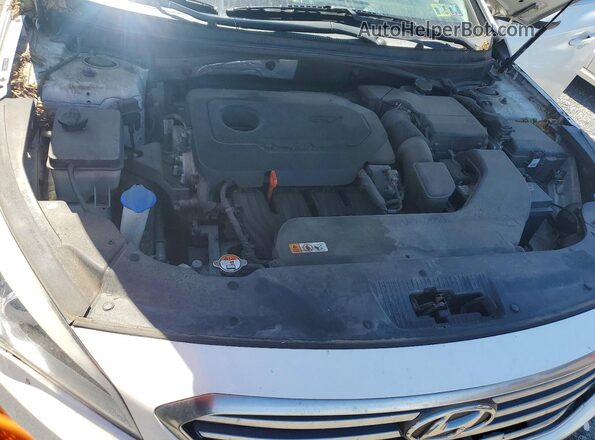 5NPE24AF0GH383851 2016 HYUNDAI SONATA White 
