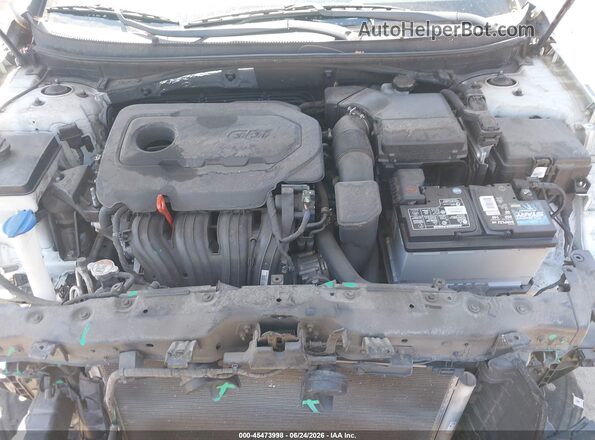 5NPE24AF0HH538481 2017 HYUNDAI SONATA White Вид ззаду