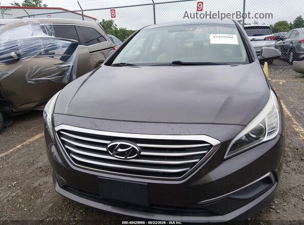5NPE24AF1GH339941 2016 HYUNDAI SONATA Brown Vista frontal